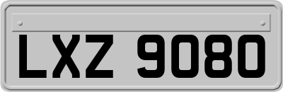 LXZ9080