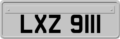 LXZ9111