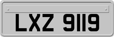LXZ9119