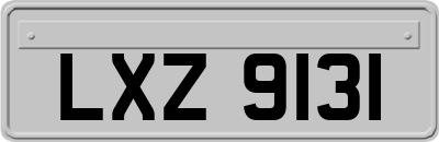 LXZ9131