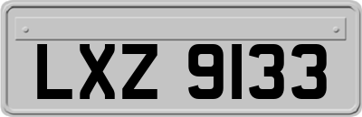 LXZ9133