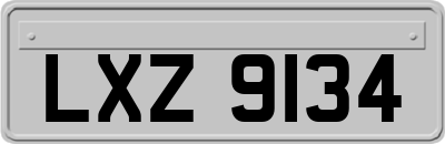 LXZ9134