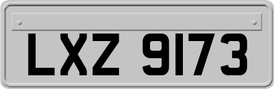LXZ9173