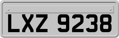 LXZ9238