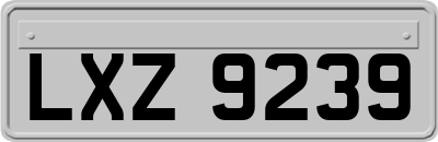 LXZ9239