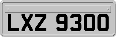 LXZ9300