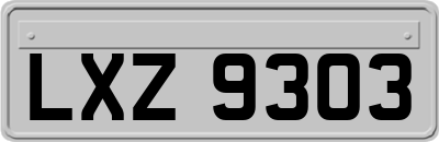 LXZ9303