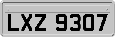 LXZ9307