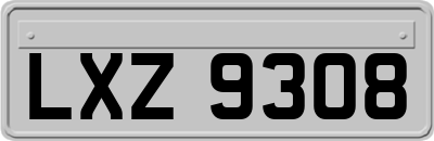 LXZ9308