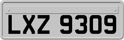LXZ9309