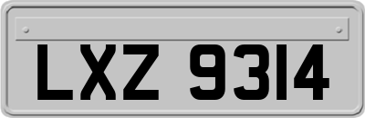 LXZ9314