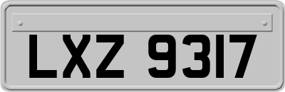 LXZ9317