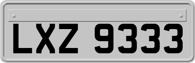 LXZ9333