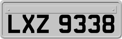 LXZ9338