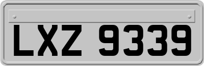 LXZ9339
