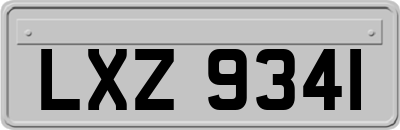 LXZ9341