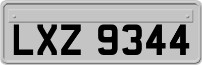 LXZ9344