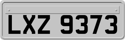 LXZ9373