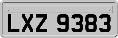 LXZ9383