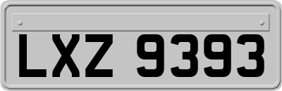 LXZ9393