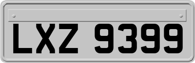 LXZ9399