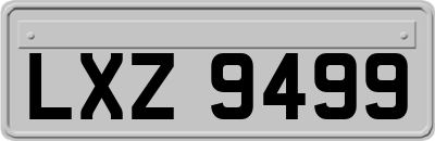 LXZ9499