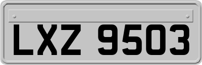 LXZ9503