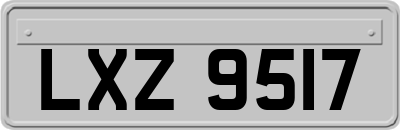 LXZ9517