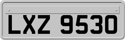 LXZ9530