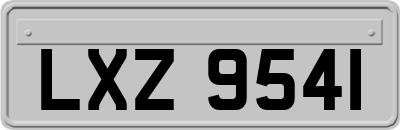 LXZ9541