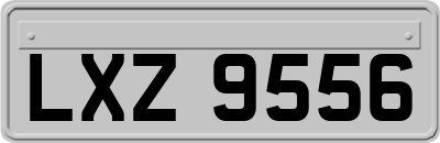LXZ9556