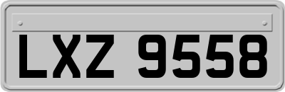 LXZ9558