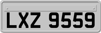LXZ9559
