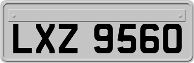 LXZ9560