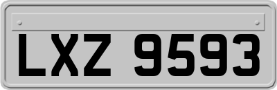 LXZ9593