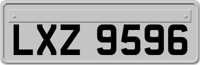 LXZ9596