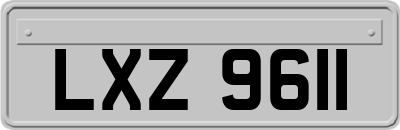 LXZ9611