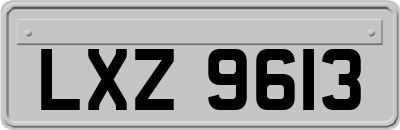 LXZ9613