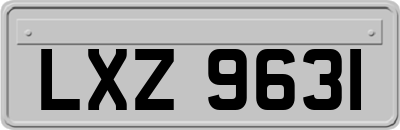 LXZ9631