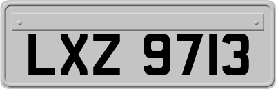 LXZ9713