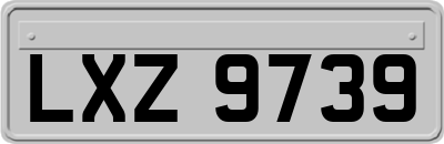 LXZ9739