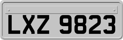 LXZ9823