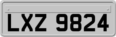 LXZ9824