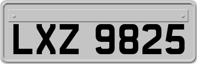 LXZ9825