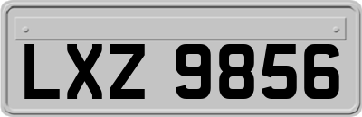 LXZ9856
