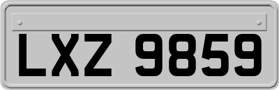 LXZ9859