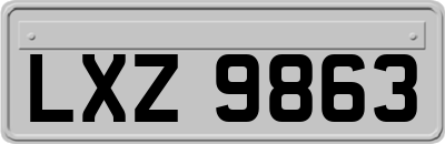 LXZ9863