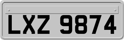 LXZ9874