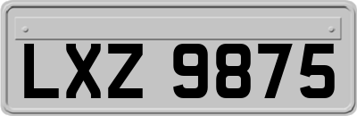 LXZ9875