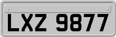 LXZ9877